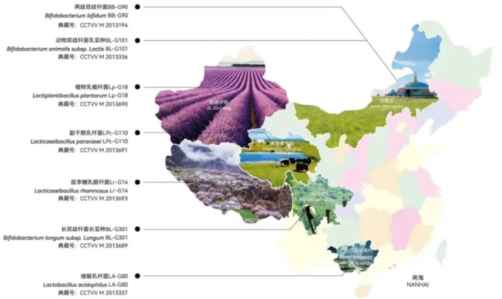 截图-20240327175645 截图-20240327175645