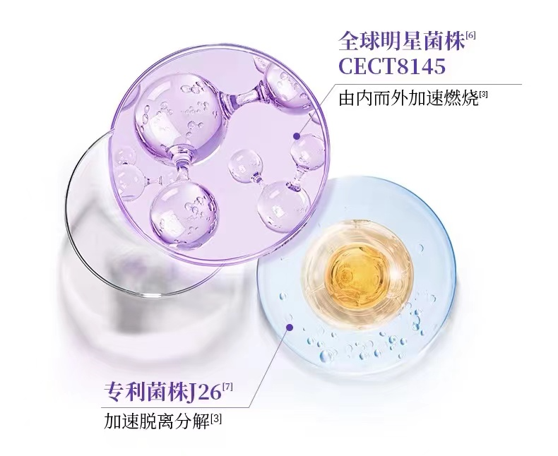 截图-20240701093009 截图-20240701093009